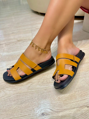 Birken H